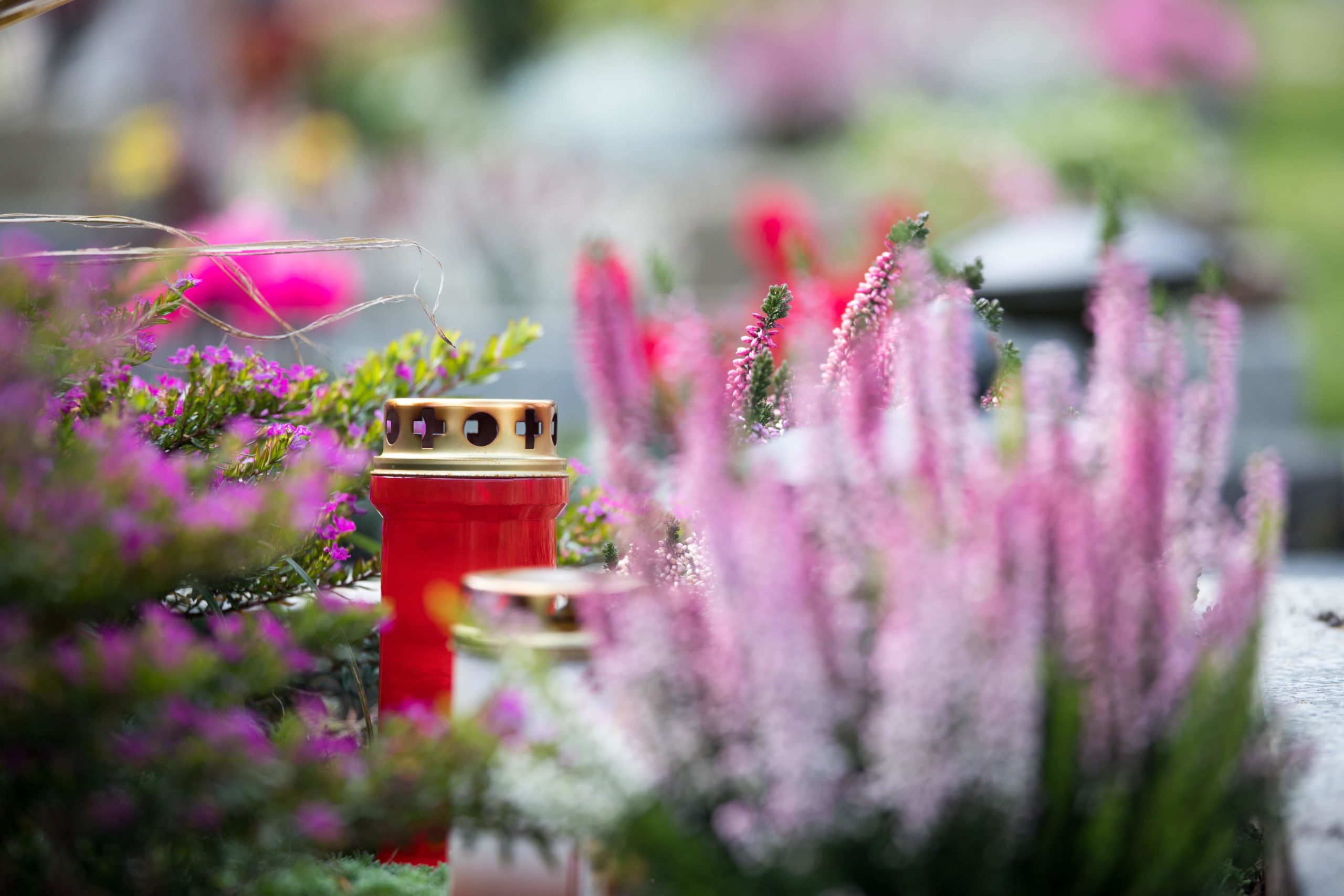 Bestattungen Domke - Friedhofspflege